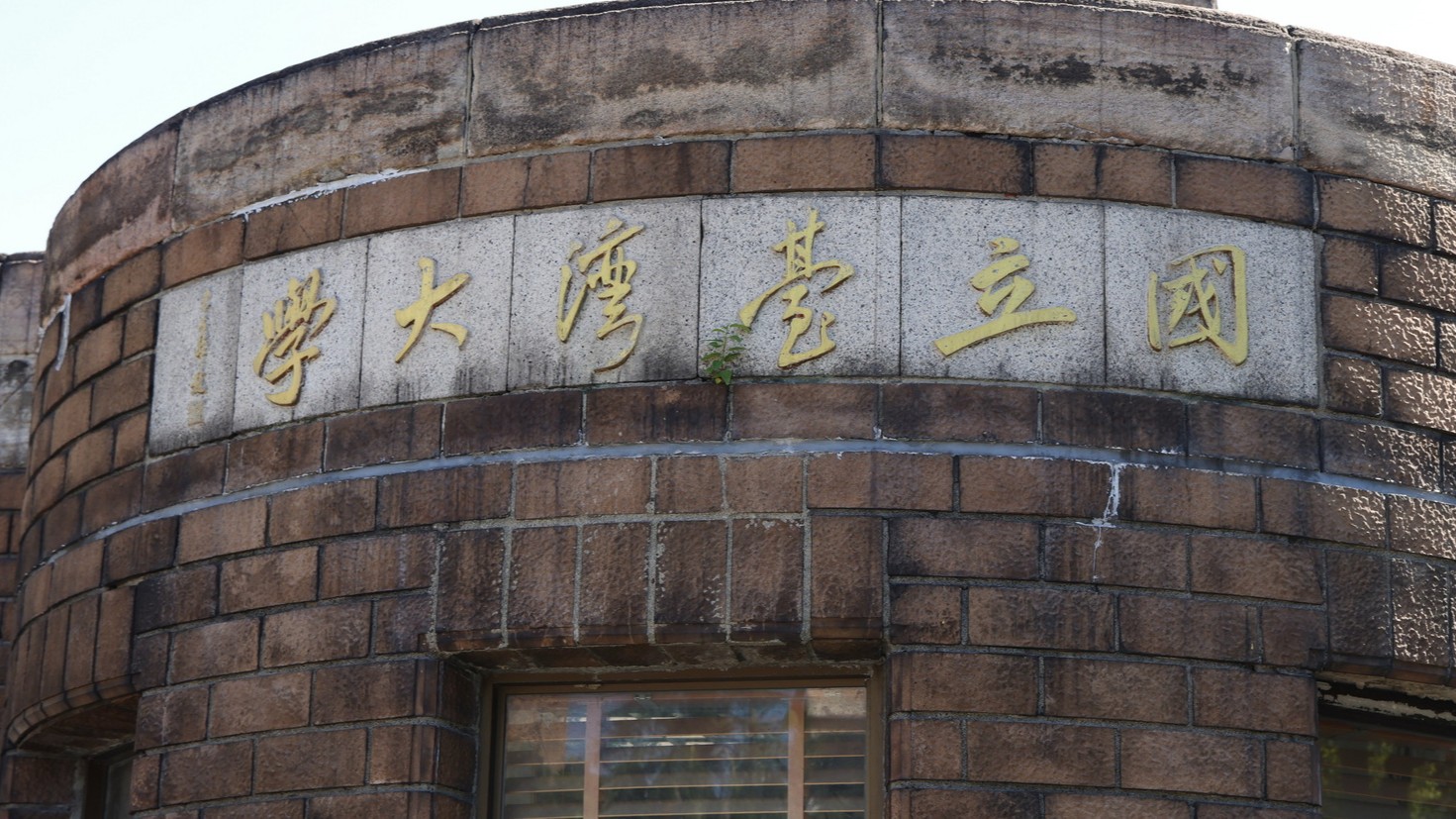 不是電機！台大一科系成黑馬　AI浪潮恐讓熱門科系大洗牌