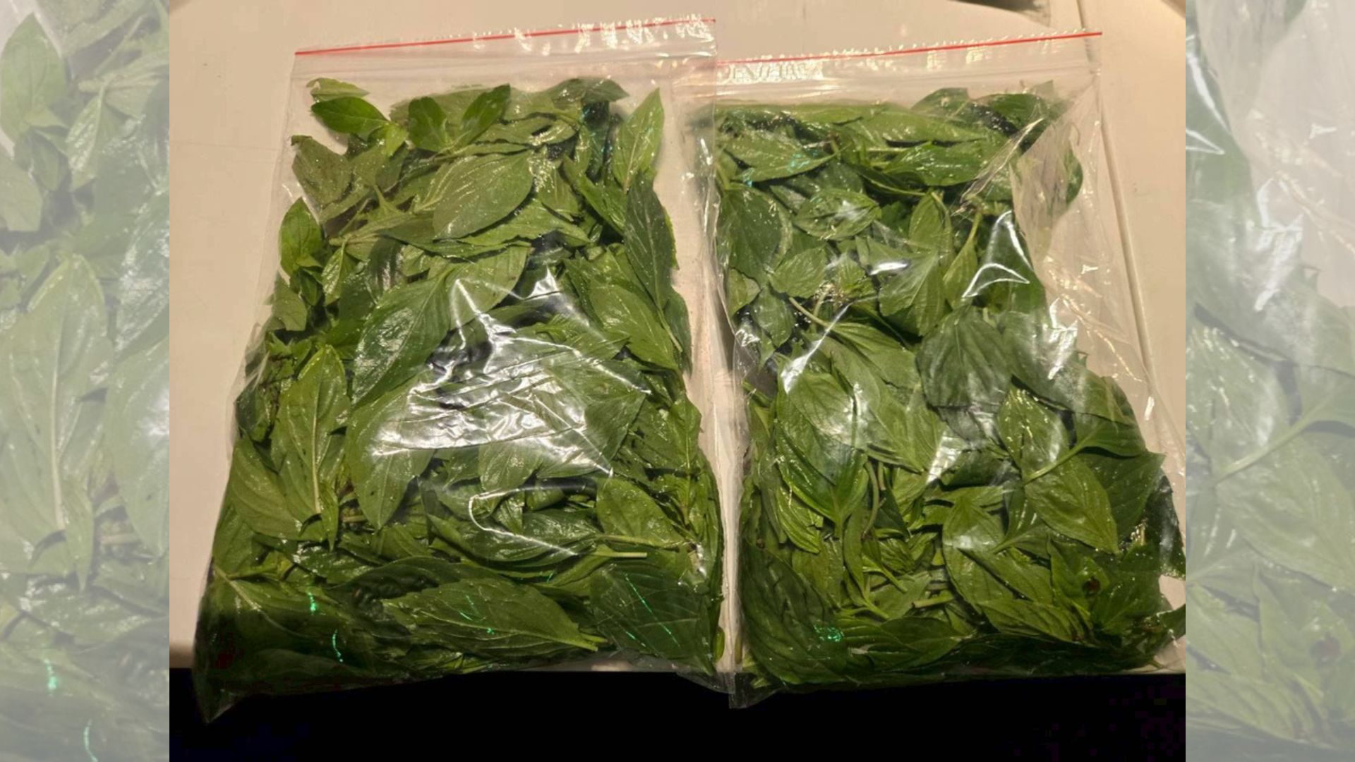 食安快訊》瓦城旗下品牌「九層塔」殺菌劑超標10倍　拉亞漢堡、早安美芝城也出包